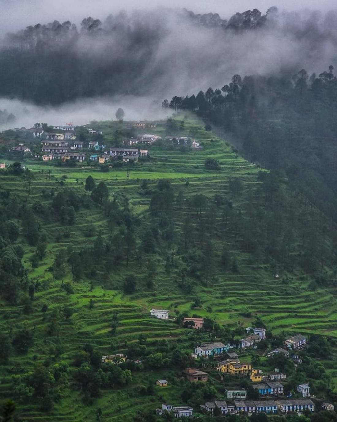 Kausani Kausani