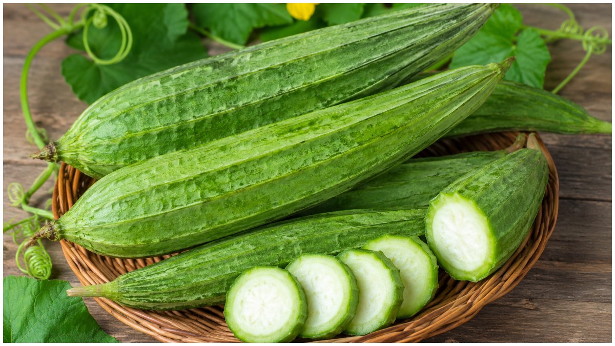 Monsoon Vegetables Monsoon Vegetables