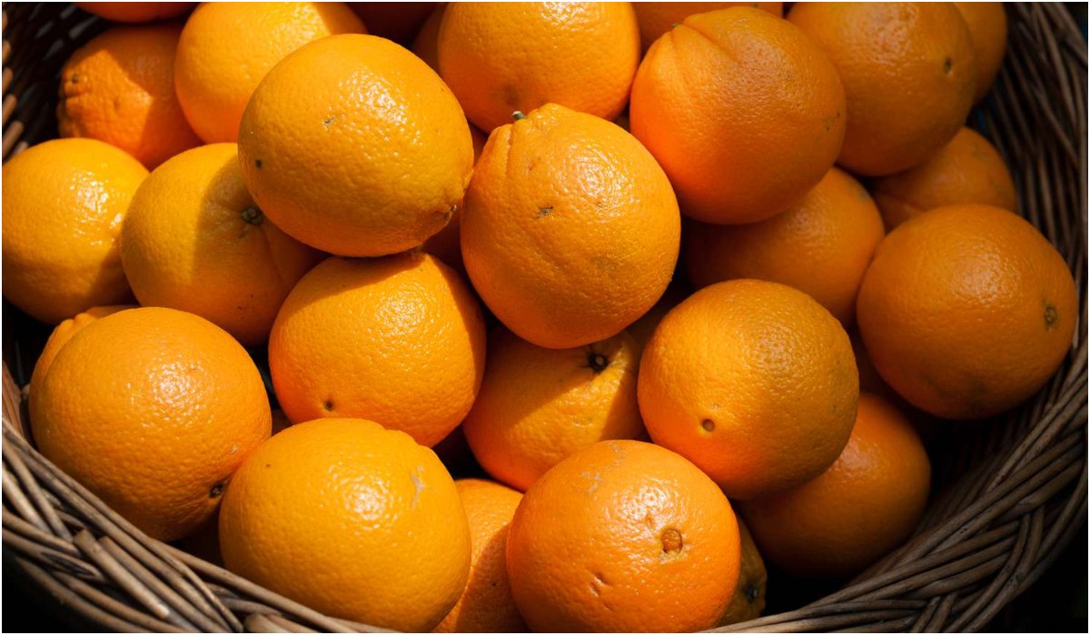 Orange undefined