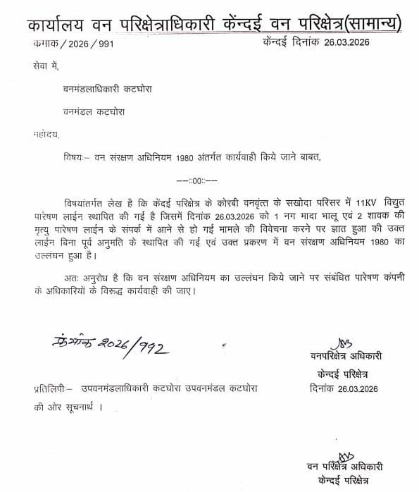 कोरबा भालू परिवार की मौत