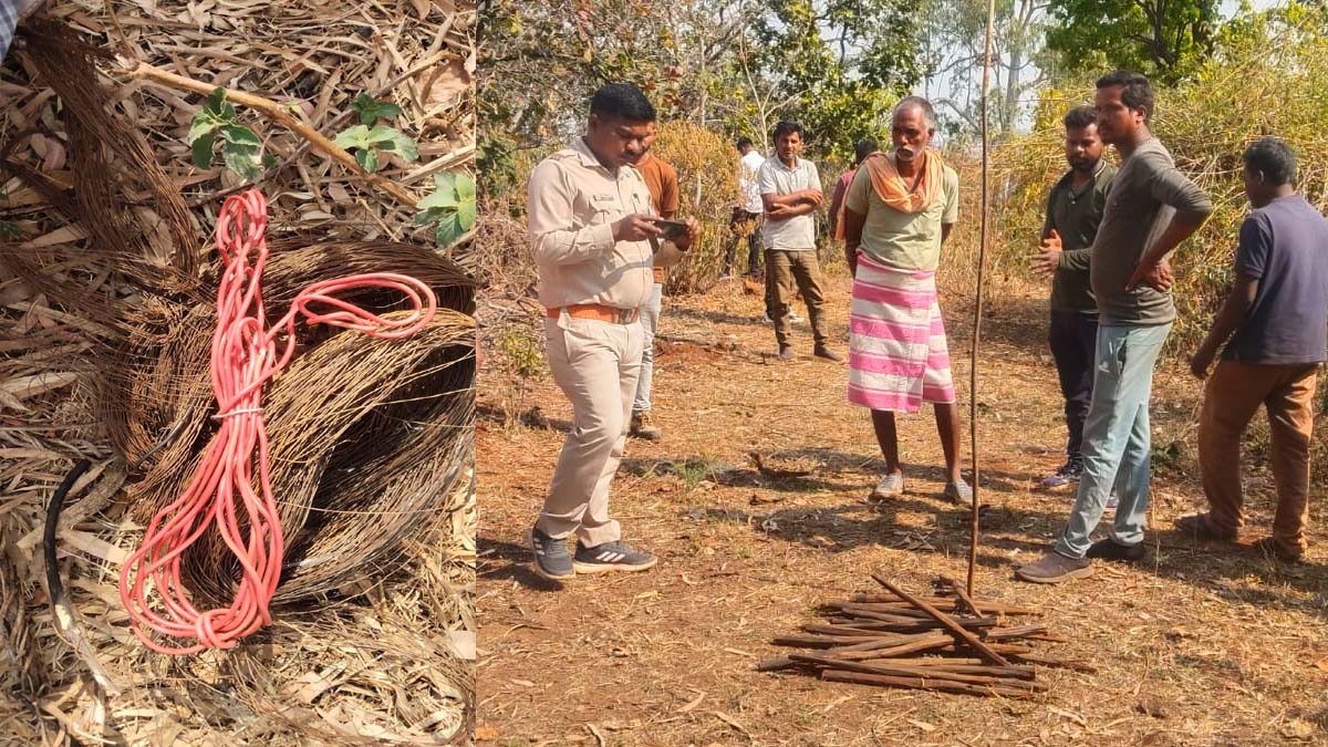 जंगल से बरामद जे आई तार और लकड़ी के खंभे