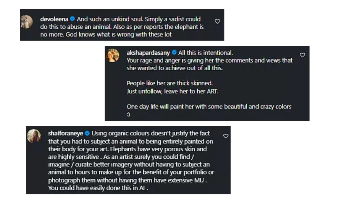 Jaipur Elephant Photoshoot Controversy