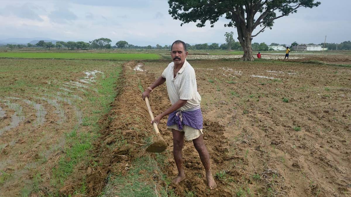 जनेऊराम नायक जनेऊराम नायक
